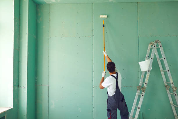 Best Asbestos and Lead Testing During Mold Inspection  in Wink, TX