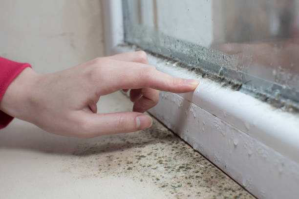 Best Post-Remediation Verification Testing  in Wink, TX